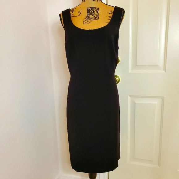 Tahari Dresses & Skirts - Tahari ASL Sleeveless Crepe Dress, 